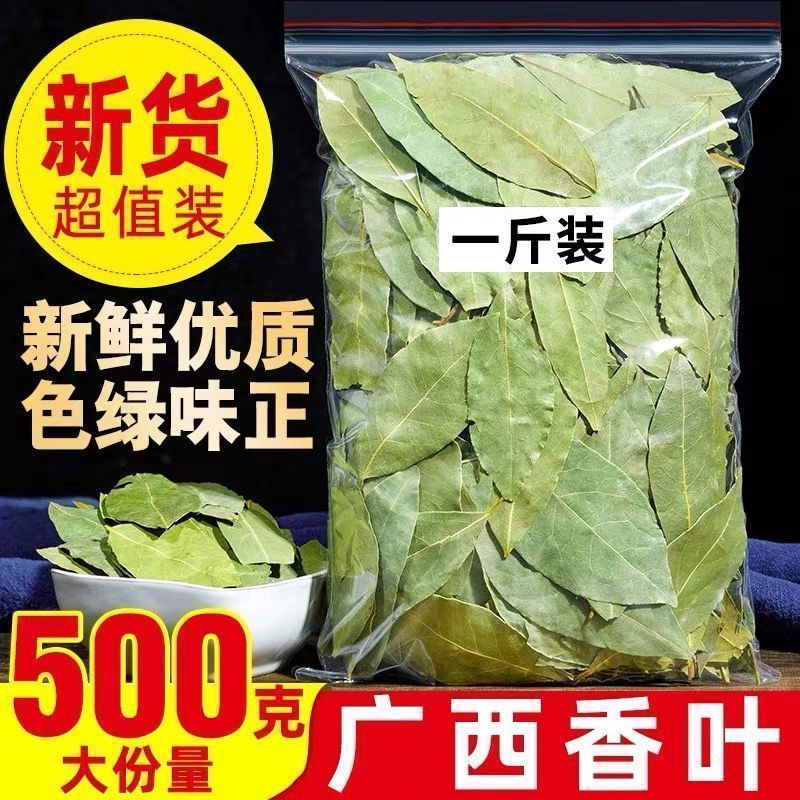 【只卖头茬香叶】广西香叶新货批发月桂叶调味料香料卤料干货净重