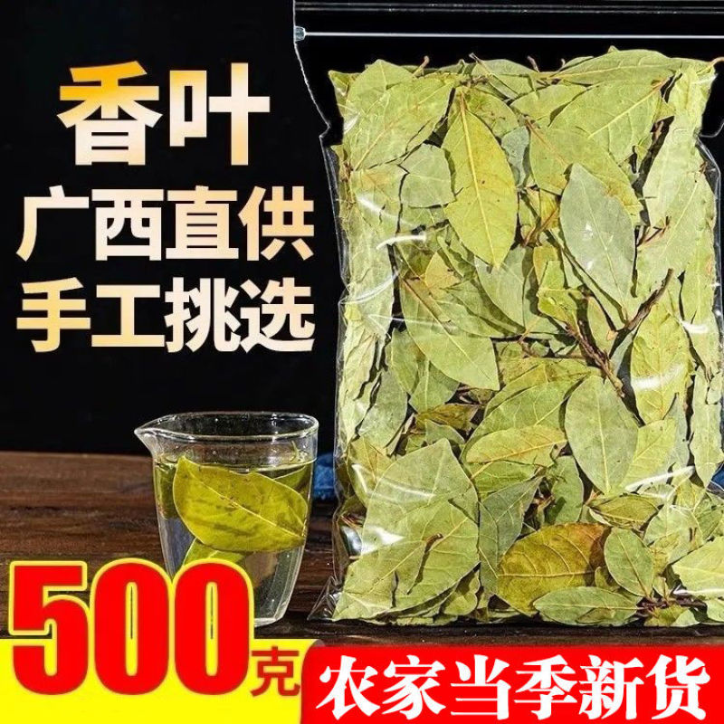 【只卖头茬香叶】广西香叶新货批发月桂叶调味料香料卤料干货净重