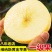 山东黄金维纳斯苹果新鲜应当季水果烟台苹果非黄元帅奶油富士整箱