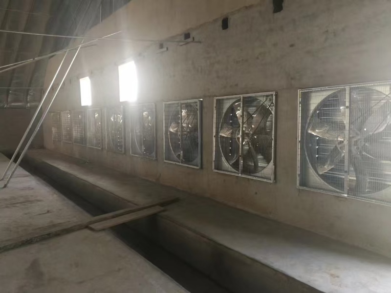 【厂家直销】温控设备负压风机排风换气扇苗场养殖场风机水帘