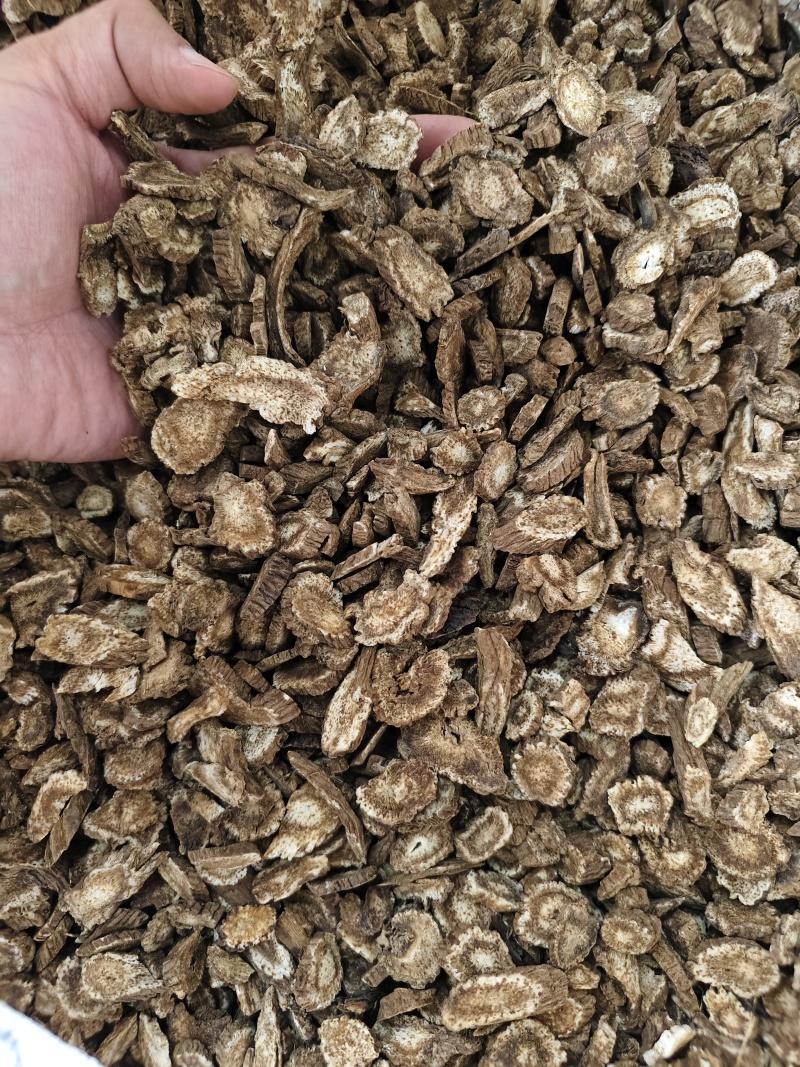 木香中药材云木香各种规格齐全量大优惠