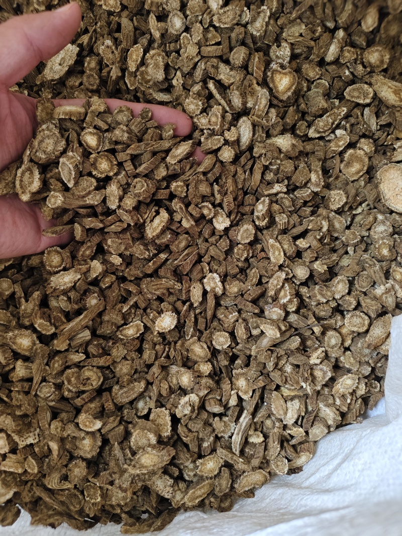 木香中药材云木香各种规格齐全量大优惠