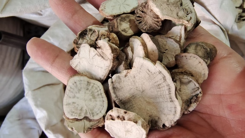 粉防己地道江西产粉性足量大优惠