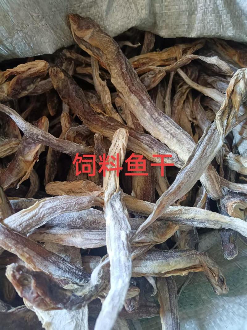 饲料鱼干供货地供货，货源稳定可长期供货，渡劫对接批发采购