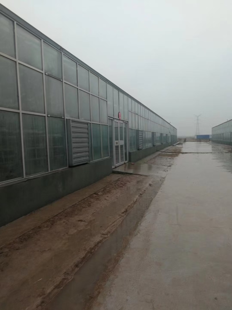【厂家直销】温控设备负压风机排风换气扇苗场养殖场风机水帘