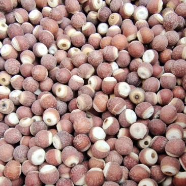 芡实大粒整粒熬粥中药材2斤包邮量大优惠
