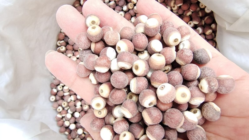 芡实大粒整粒熬粥中药材2斤包邮量大优惠