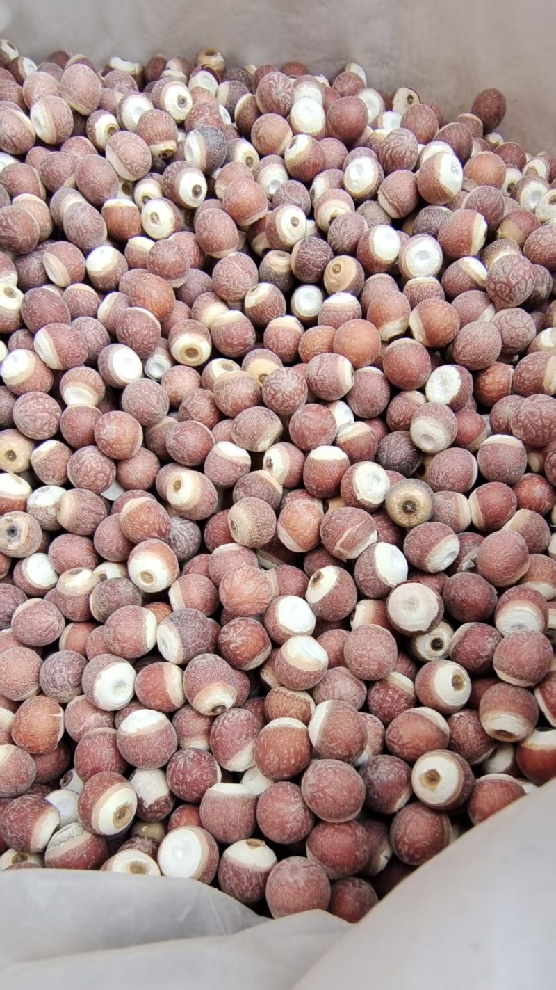 芡实大粒整粒熬粥中药材2斤包邮量大优惠