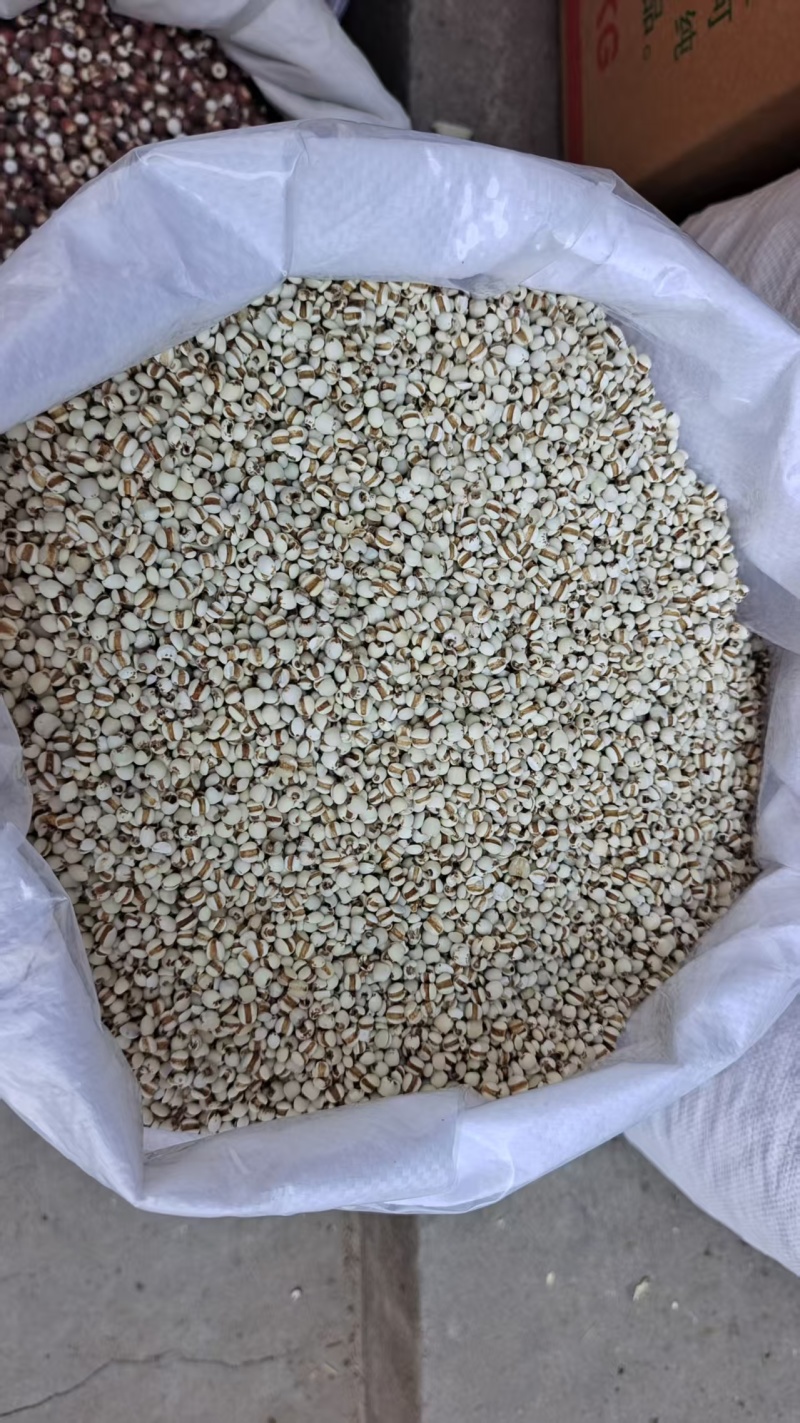 贵州小薏米薏苡仁熬粥2斤包邮量大优惠