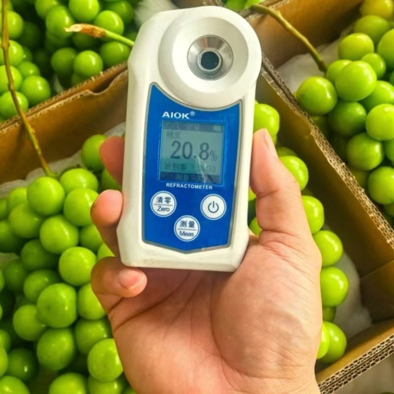 湖南常德阳光玫瑰葡萄新鲜上市甜蜜多汁坏果包赔质量保障