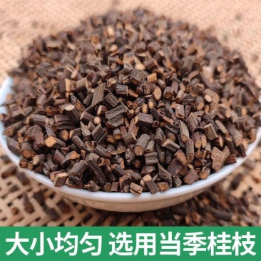 桂枝尖含量足均匀2斤包邮量大优惠