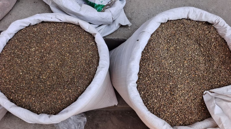 桂枝尖含量足均匀2斤包邮量大优惠