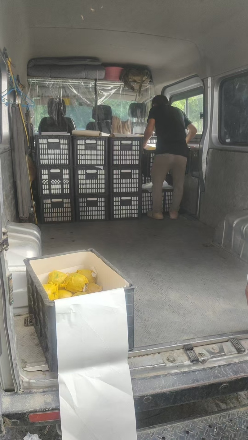 精品安徽砀山翠玉梨产地直发甜度高代发全国可视频看货