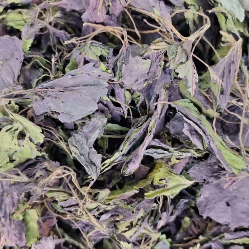 紫苏叶选货河北产地直销2斤包邮量大优惠