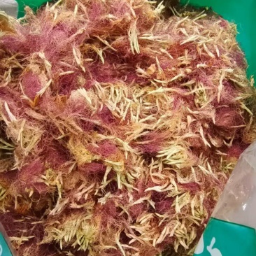 合欢花河北产地直销2斤包邮量大优惠