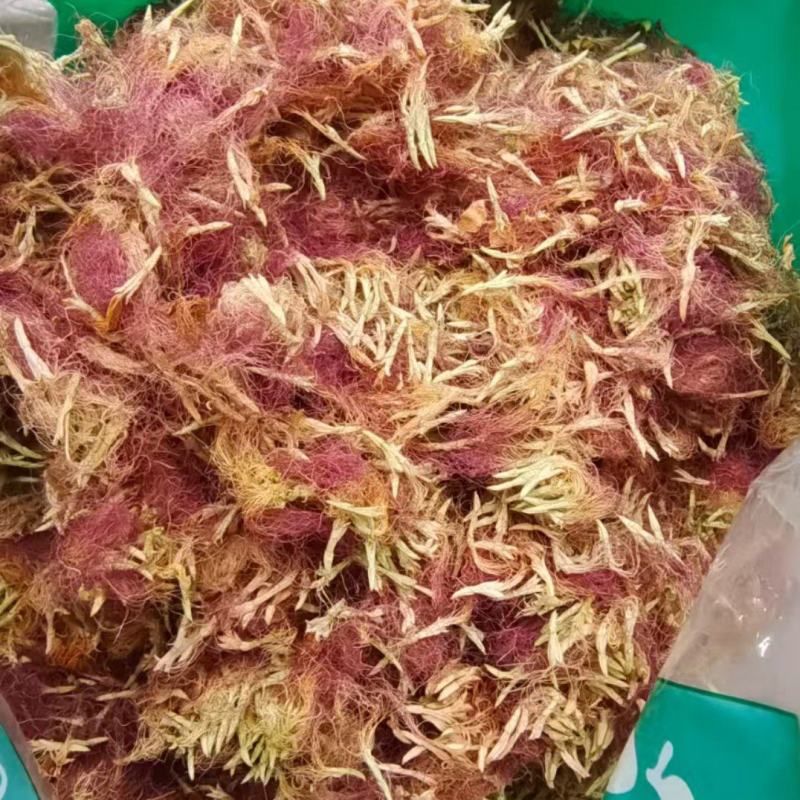 合欢花河北产地直销2斤包邮量大优惠