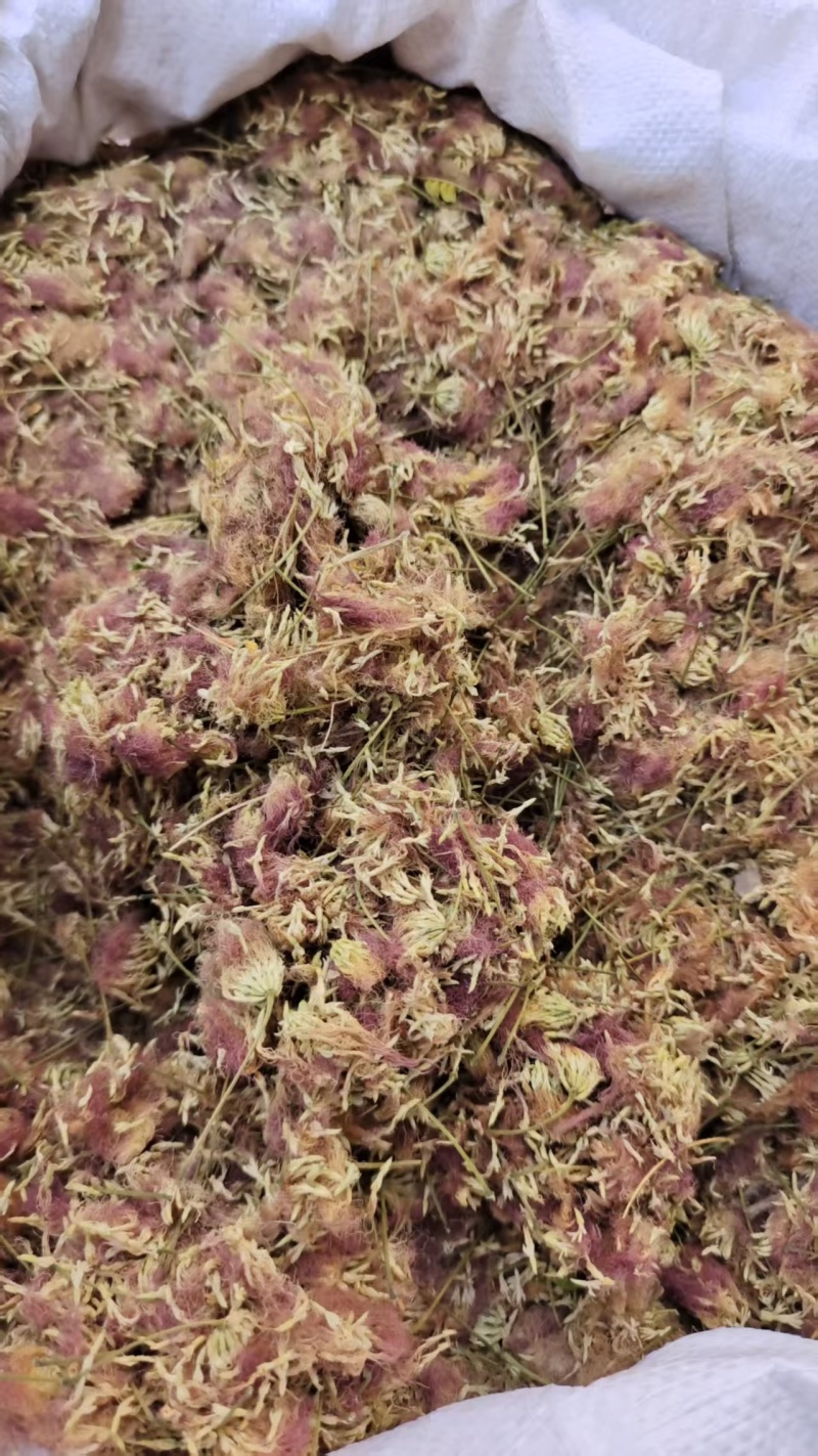 合欢花河北产地直销2斤包邮量大优惠