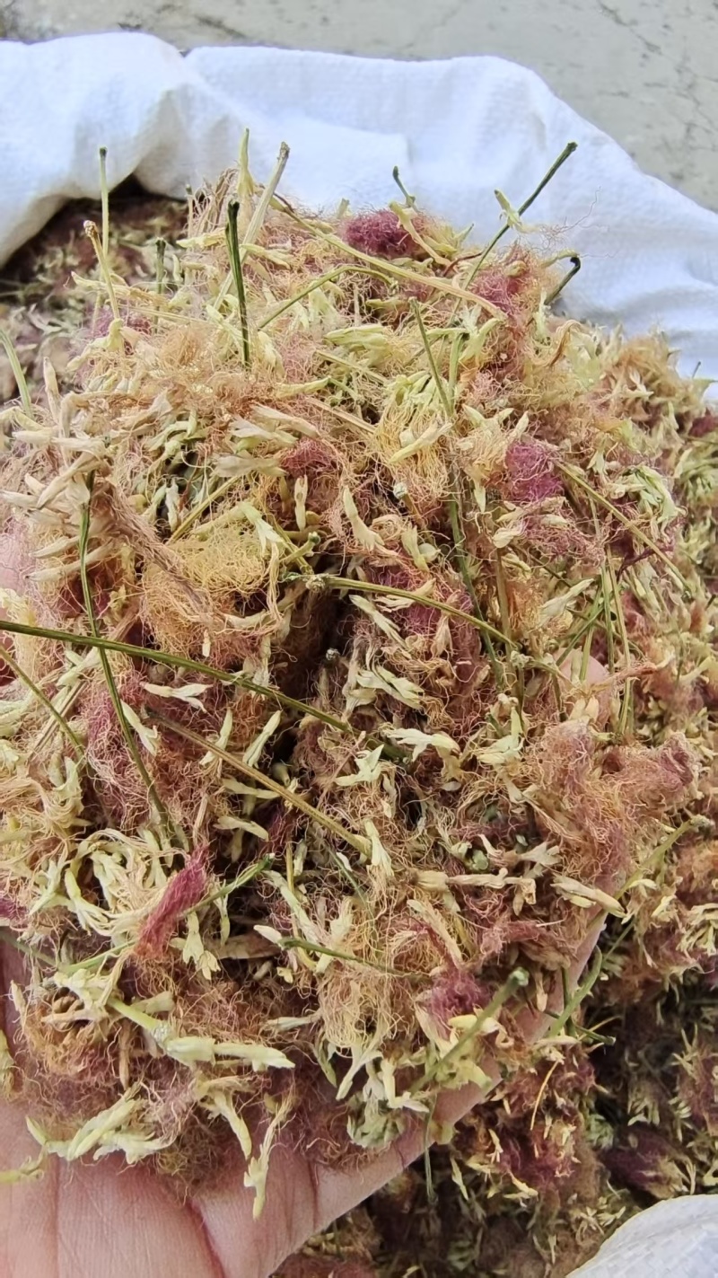 合欢花河北产地直销2斤包邮量大优惠