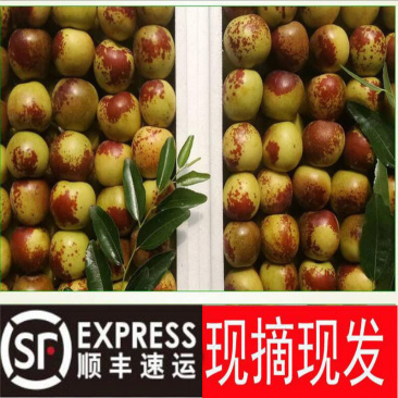 【顺丰包邮】正宗陕西大荔冬枣现摘脆甜大红枣应季新鲜水果