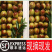 【顺丰包邮】正宗陕西大荔冬枣现摘脆甜大红枣应季新鲜水果