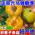 正宗六马蜂糖李爆甜孕妇新鲜水果当季现摘非青脆李半边红五月脆