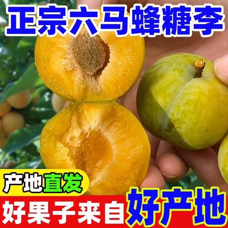 正宗六马蜂糖李爆甜孕妇新鲜水果当季现摘非青脆李半边红五月脆