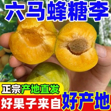 正宗六马蜂糖李爆甜孕妇新鲜水果当季现摘非青脆李半边红五月脆