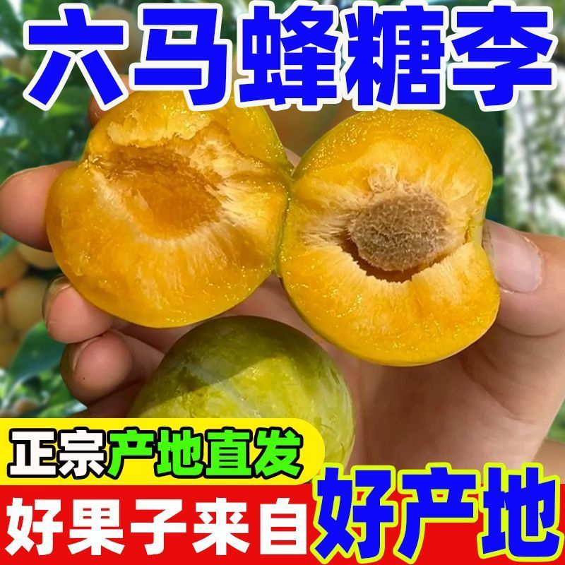 正宗六马蜂糖李爆甜孕妇新鲜水果当季现摘非青脆李半边红五月脆