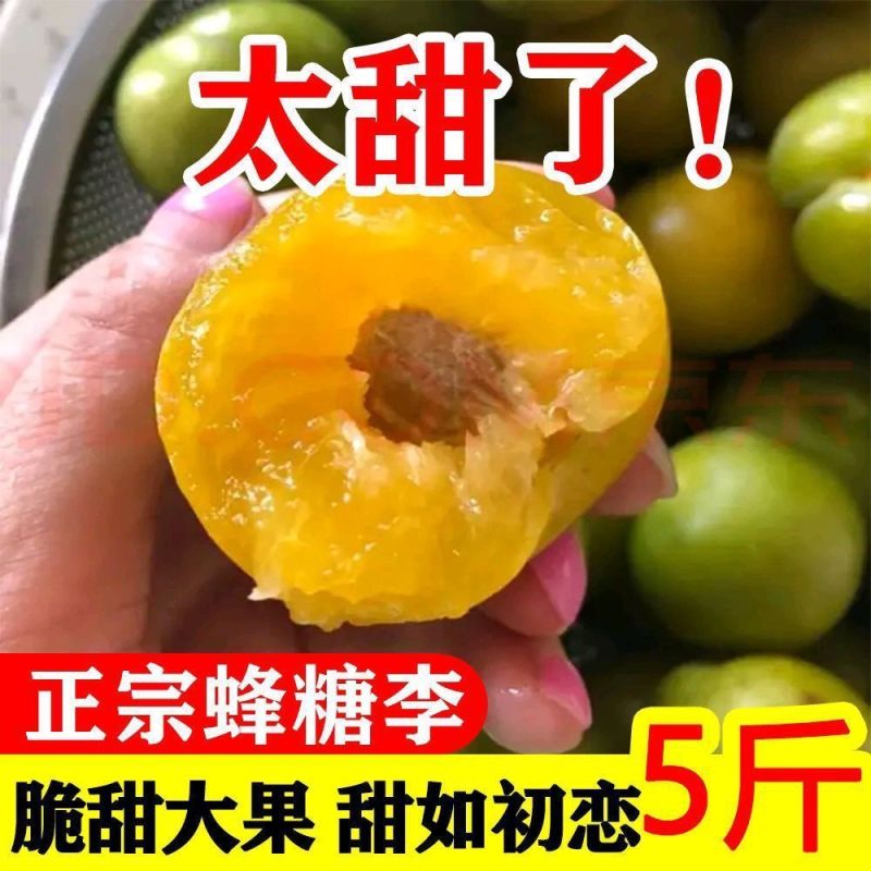 正宗六马蜂糖李爆甜孕妇新鲜水果当季现摘非青脆李半边红五月脆