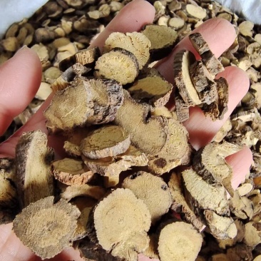 甘草自然生长2斤包邮量大优惠