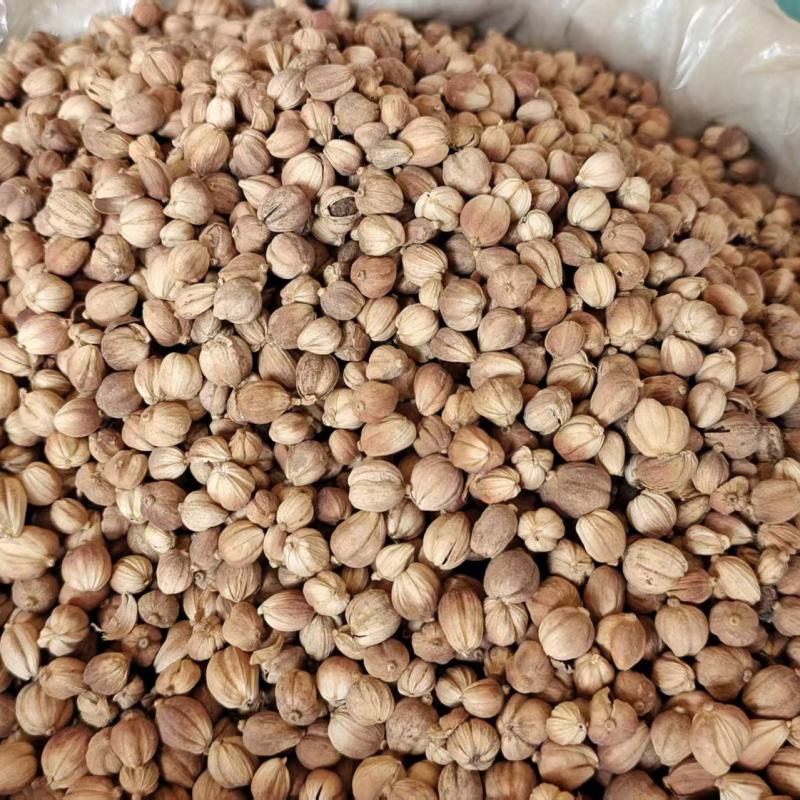 白豆蔻调料中药材2斤包邮量大优惠