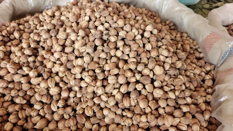 白豆蔻调料中药材2斤包邮量大优惠