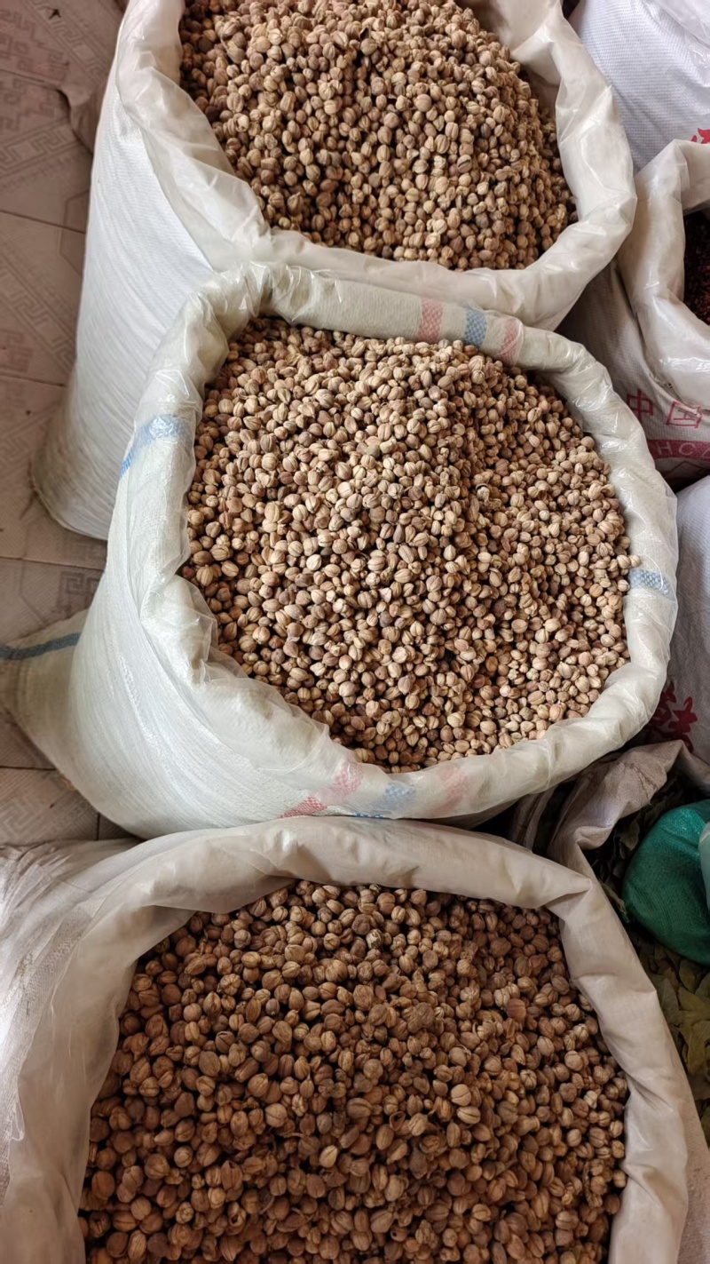 白豆蔻调料中药材无硫干货2斤包邮量大优惠