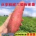 【正宗福建六鳌蜜薯】沙地红薯新鲜现挖山芋富硒糖心地瓜红心番薯