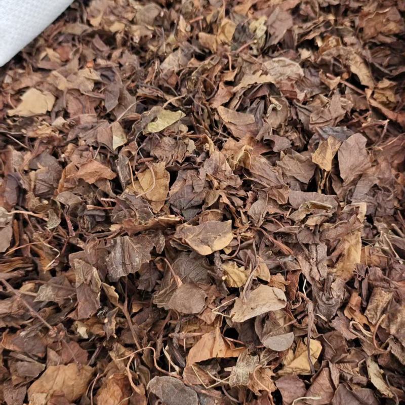 鹿含草鹿衔草地道药材干货2斤包邮量大优惠