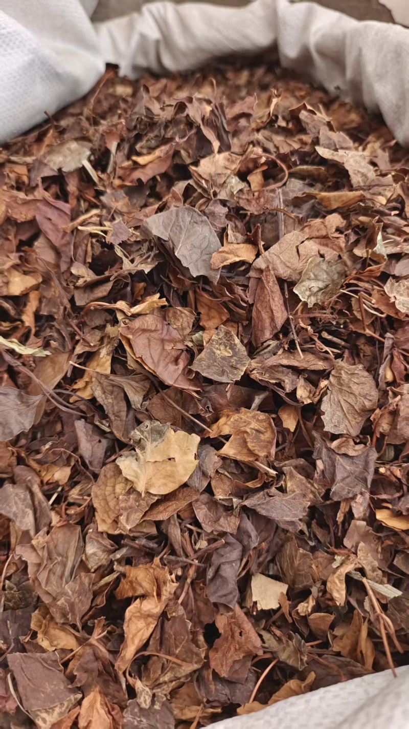 鹿含草鹿衔草地道药材干货2斤包邮量大优惠