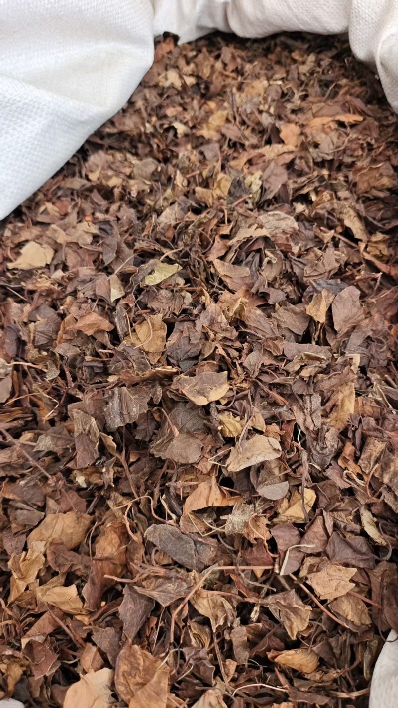 鹿含草鹿衔草地道药材干货2斤包邮量大优惠