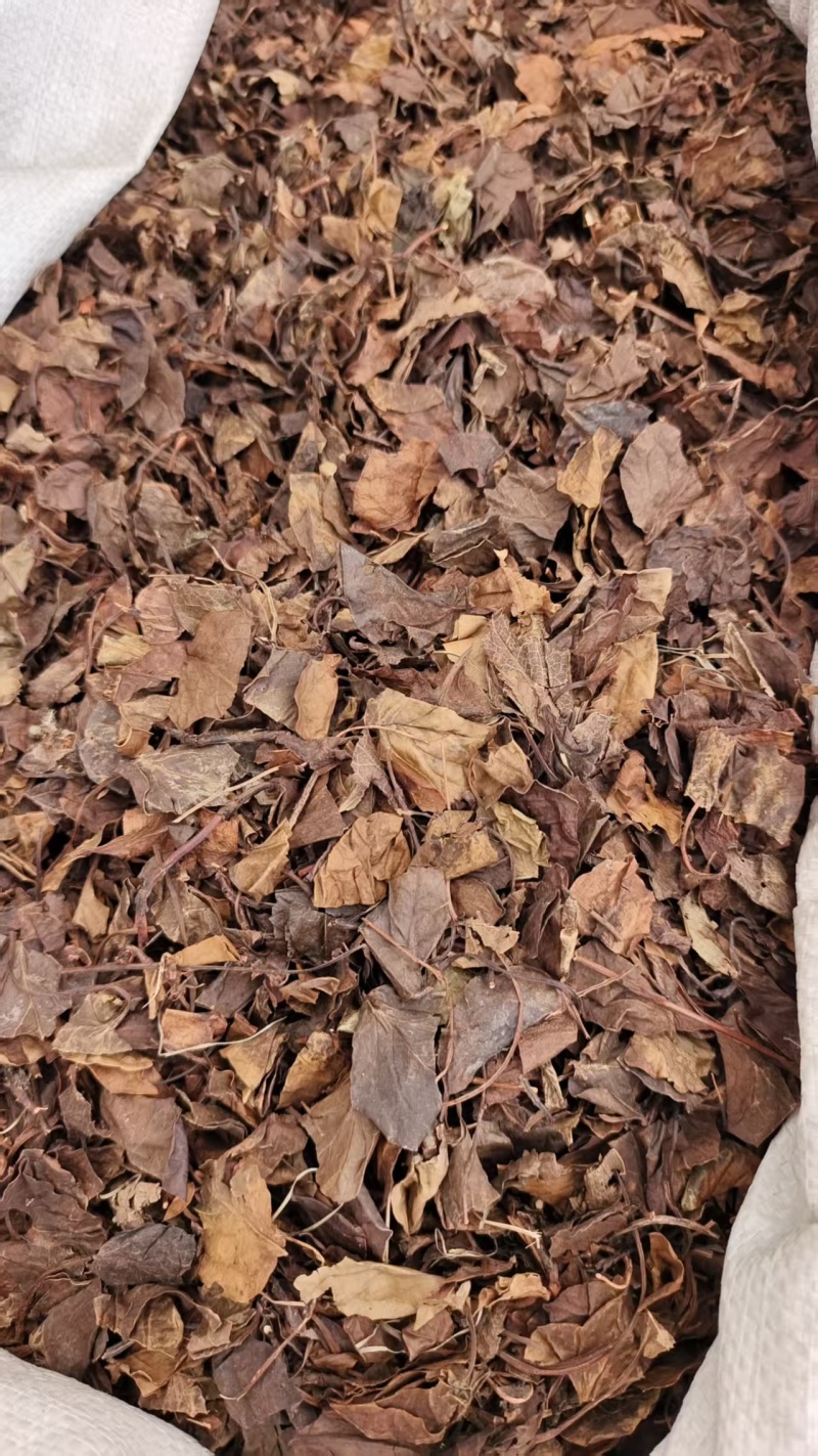 鹿含草鹿衔草地道药材干货2斤包邮量大优惠
