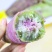 【精品】正宗沙地新鲜现挖冰淇淋番薯一点红地瓜板栗花心红薯包邮