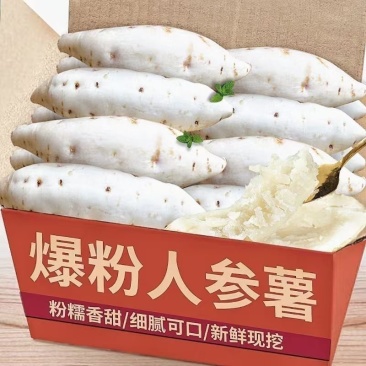 广东正宗湛江网红红薯现挖人参薯香甜软糯老人小孩都喜欢