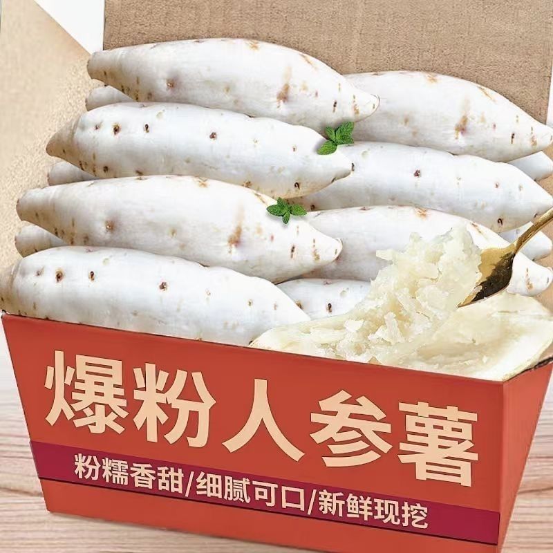 广东正宗湛江网红红薯现挖人参薯香甜软糯老人小孩都喜欢
