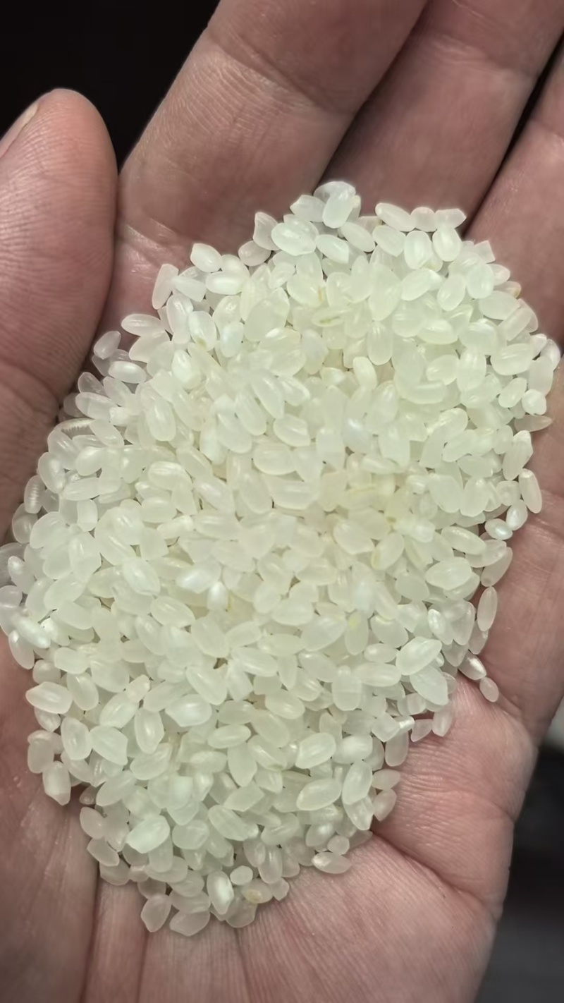 珍珠米