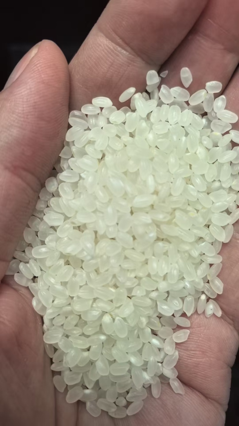 珍珠米