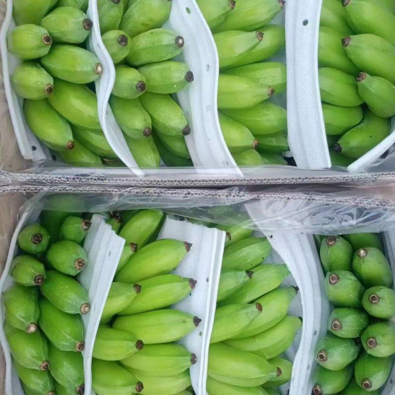 云南精品粉蕉小米蕉