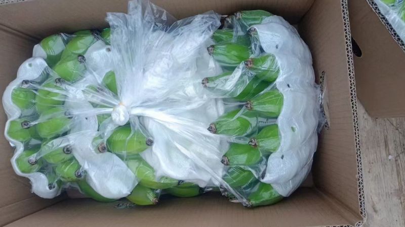 云南精品粉蕉小米蕉