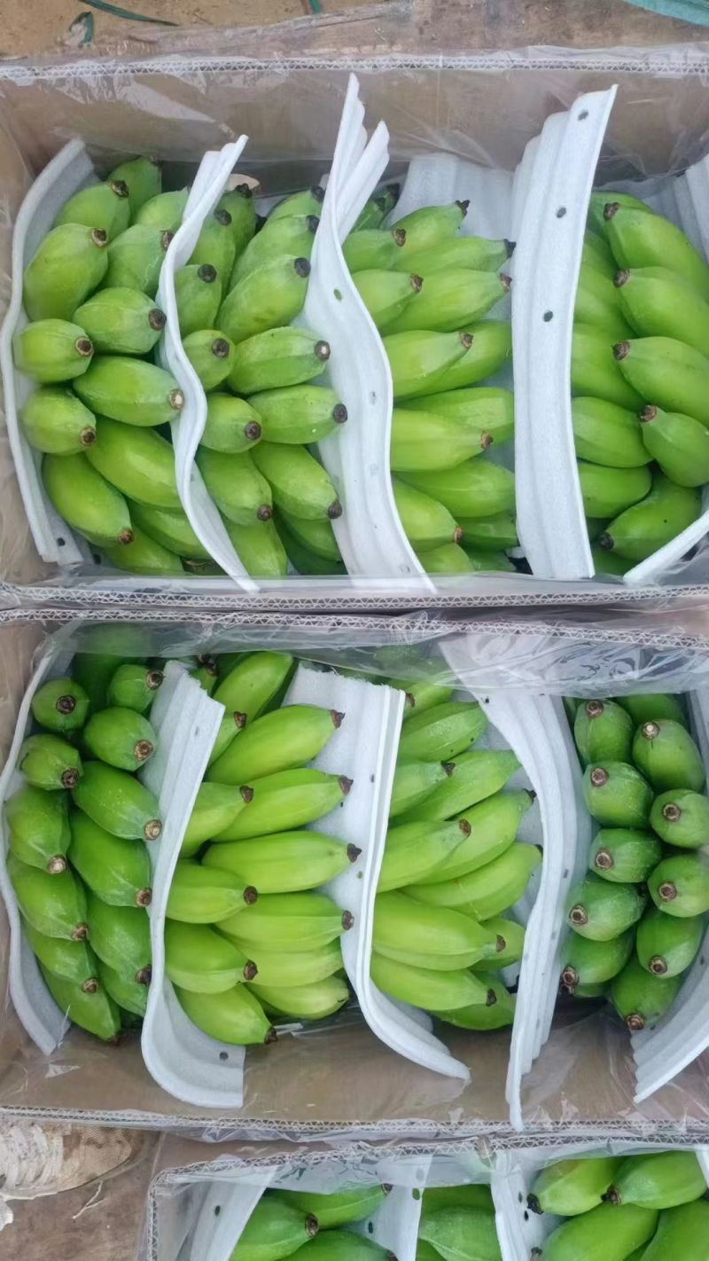 云南精品粉蕉小米蕉