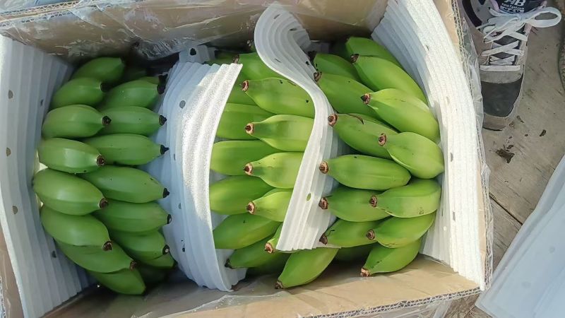 云南精品粉蕉小米蕉