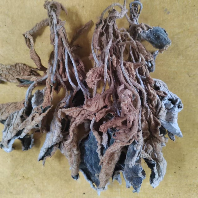 软肝草（软肝草）产地直发货源稳定大量供应