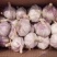 山东紫皮蒜批发3斤5斤10十足新干蒜包邮辛辣味十足