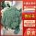 山西西兰花大量供货价格优惠一手货源欢迎电联